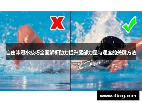 自由泳蹬水技巧全面解析助力提升腿部力量与速度的关键方法