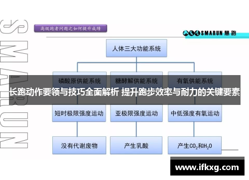 长跑动作要领与技巧全面解析 提升跑步效率与耐力的关键要素